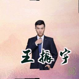 王振宇